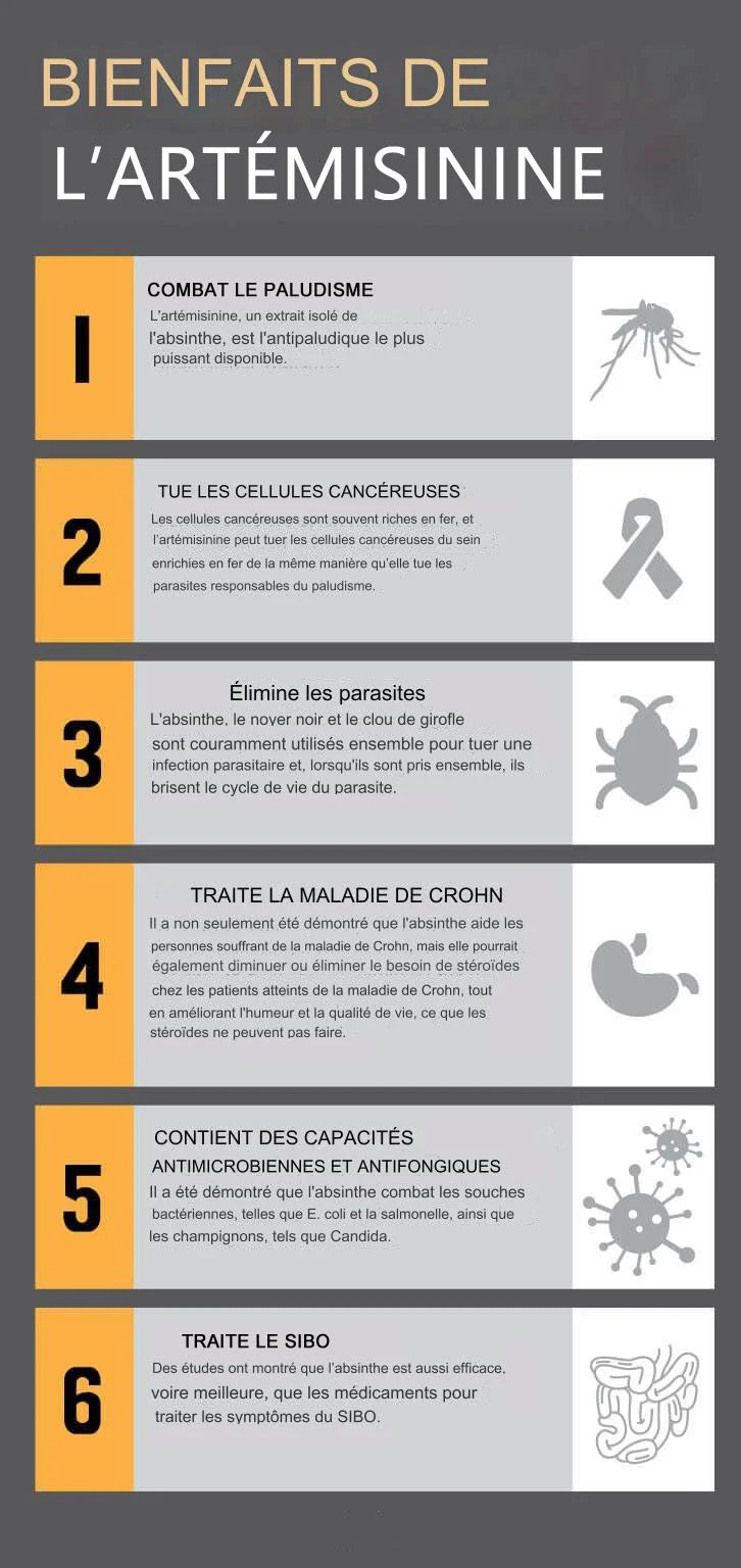 Potentiel bienfaits de l'artémisinine : traitement antipaludéen, anti-inflammatoire, antimicrobien et potentiel anticancer